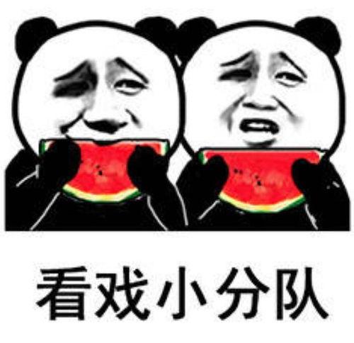 娛樂吃瓜表情包圖片,笑翻你的表情包盛宴