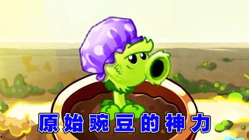 娛樂吃瓜醬豌豆射手,揭秘娛樂圈那些不為人知的幕后故事