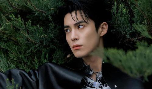 娛樂吃瓜爆料王鶴棣,娛樂圈新晉“吃瓜王”的崛起之路